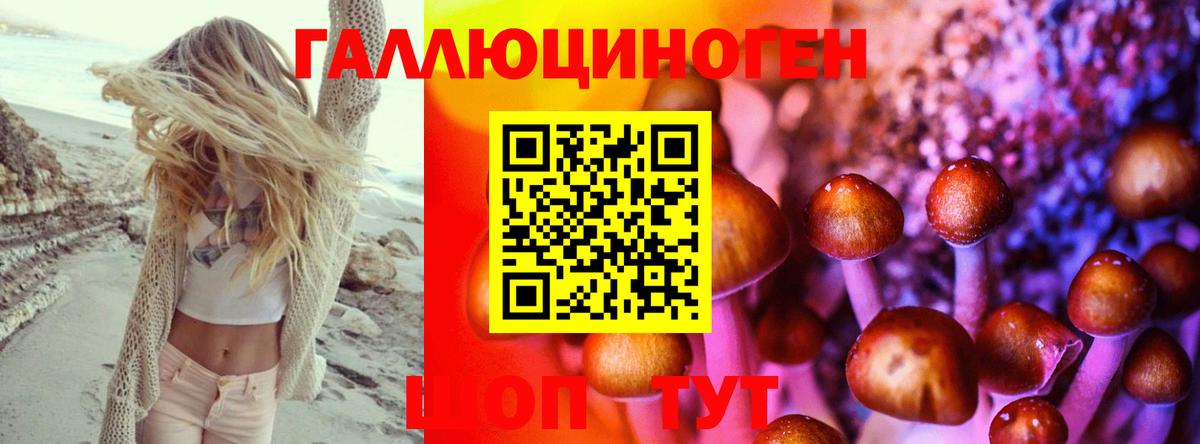Галлюциногенные грибы мицелий Ростов Великий